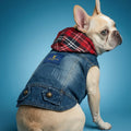 The Lou-Lou Pet Jacket