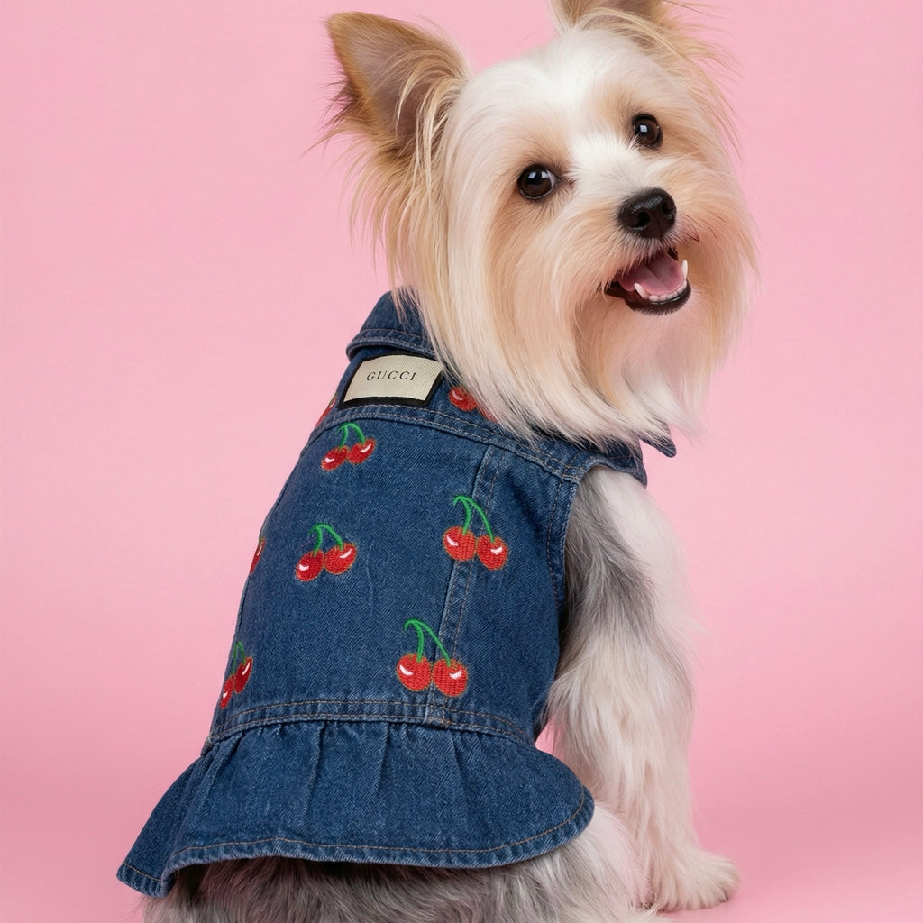 The Goody Pet Jacket