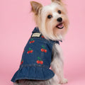The Goody Pet Jacket